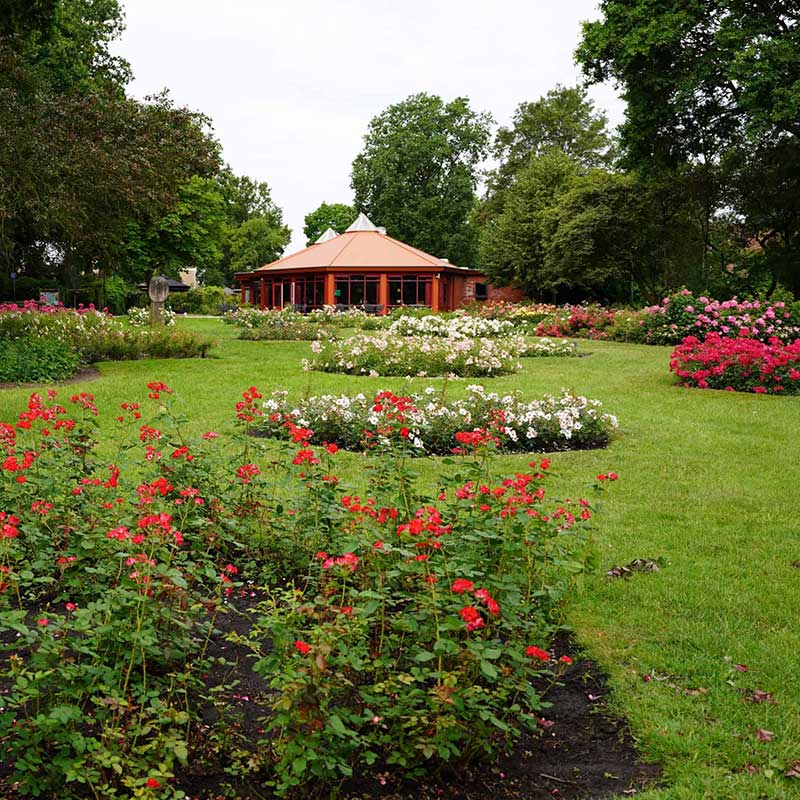 gastrobar-mood-restaurant-winschoten-rosarium